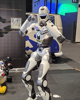 China robot_edited.jpg