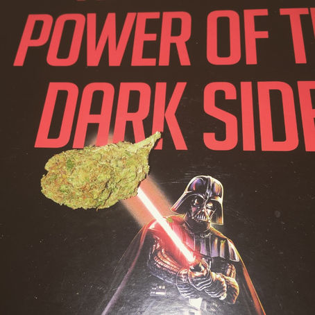 Sunshine 4 Weed Review