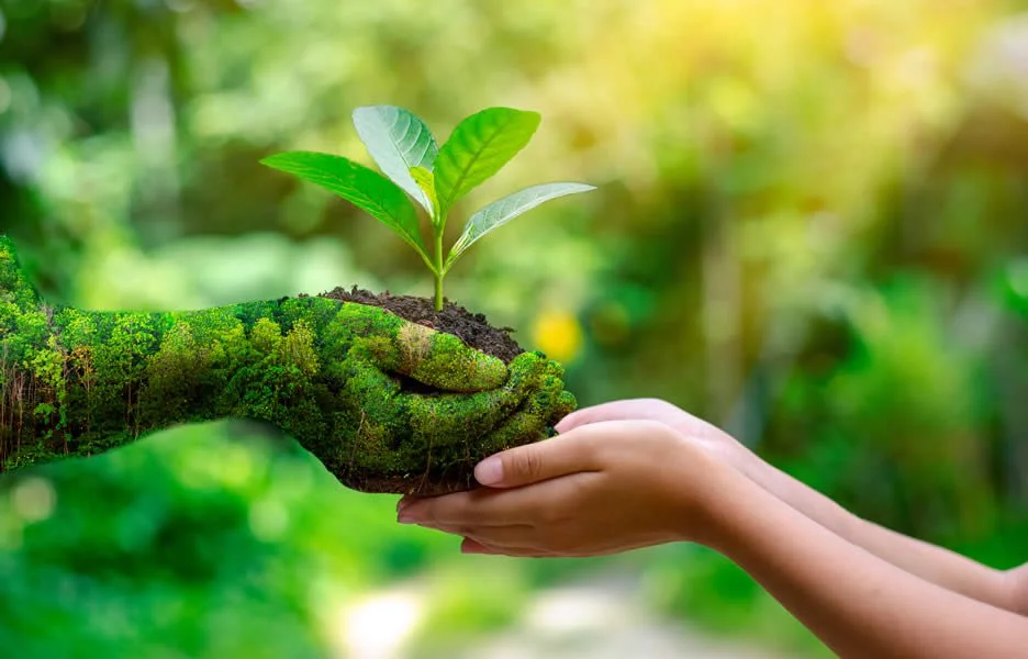 esg-mao-arvore-verde-mercado-2021-credito-freepik-digital-money-informe.webp