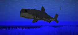 requin.webp