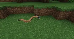 petits-serpents.webp