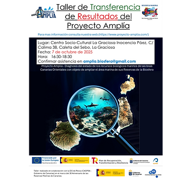 cartel taller transferencia Amplia_La Graciosa_page-0001_edited.png