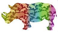 rhino+color+silhouette.jpeg