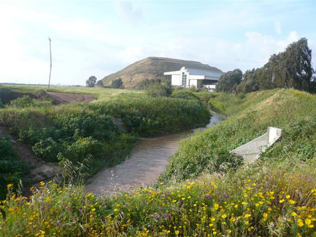 מפעל ניקוז לריסון גאויות בנחל איילון, פארק אריאל שרון