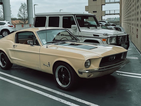 Time Capsule: 47 Years with a Fastback