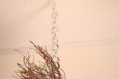IMG_9864.JPG