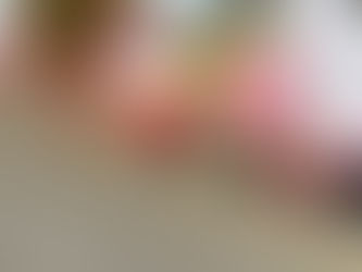 11/4(木)新家第一公園に行ったよ