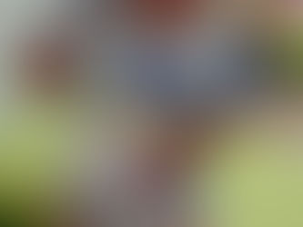 8月10日(火)ばなな組ぶどう組