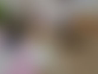 10月28日ばなな組ぶどう組