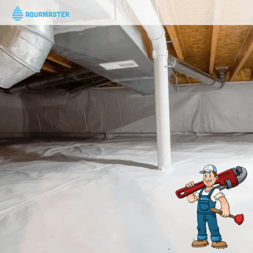 Client happy with their crawlspace insulation