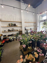 Flower Shop renovations