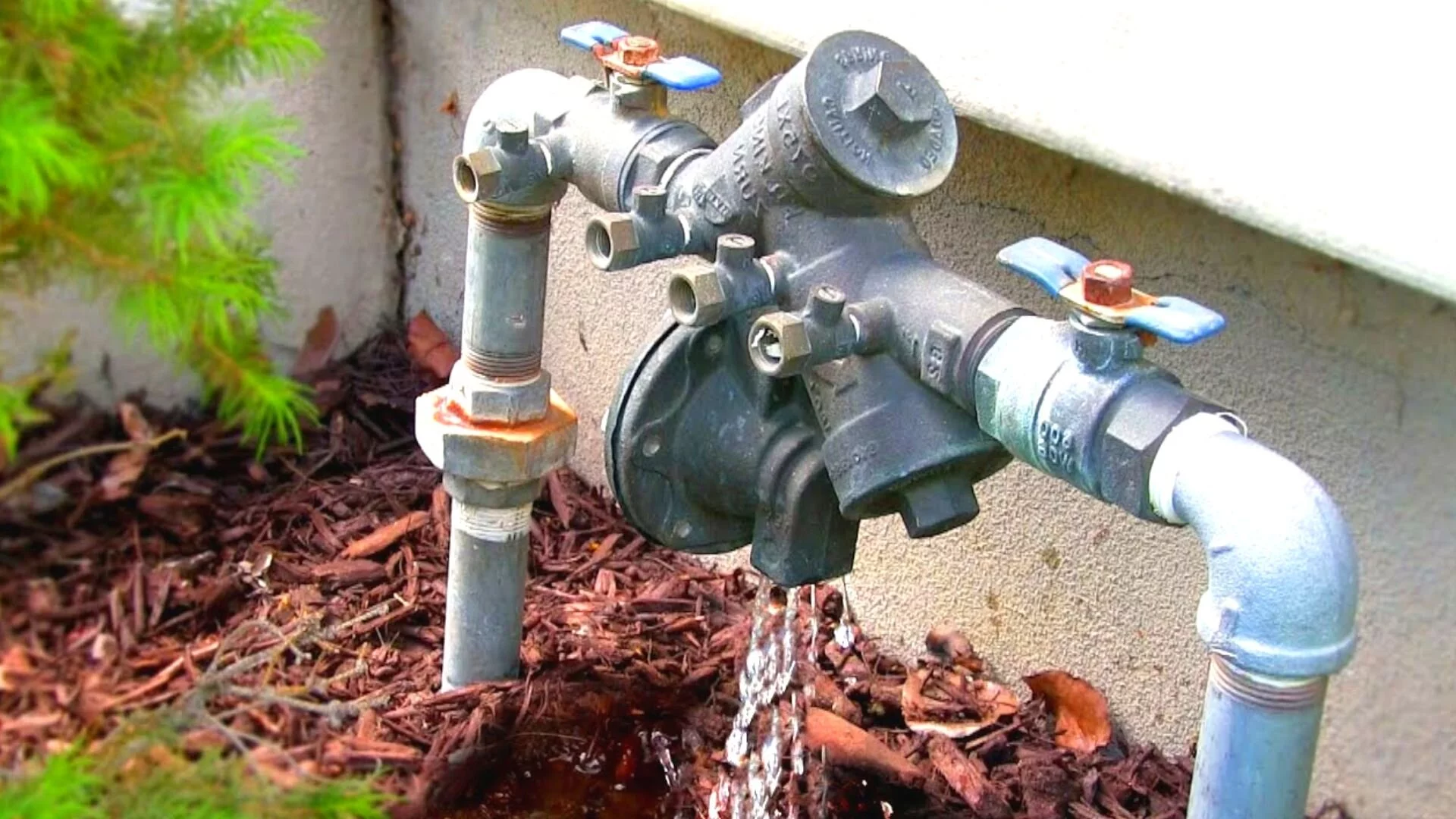 Leaking Backflow Preventer Inspected in the City of Toronto