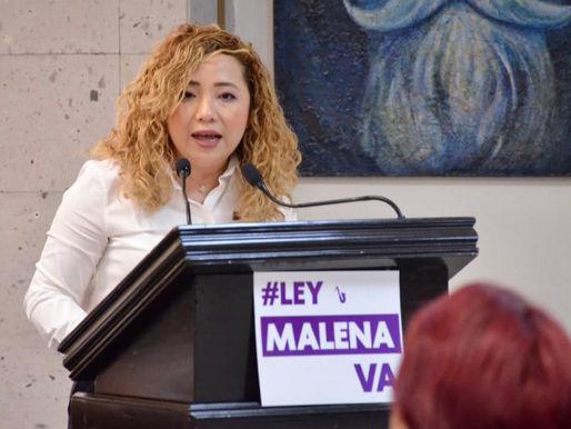 Diputada Itzel López presenta Ley Malena para sancionar violencia ácida en Veracruz
