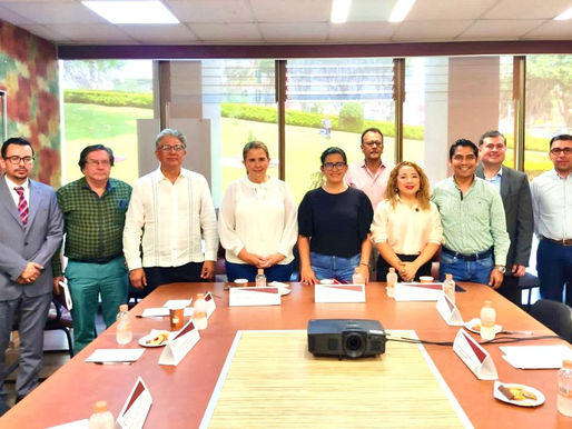 INDISPENSABLE CONSULTAR AL PUEBLO PARA EL BIENESTAR Y DESARROLLO SOCIAL DE VERACRUZ: ITZEL LÓPEZ.