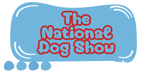 Blue and White Playful Group Project Pre