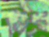 animosh (1).gif