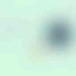 Ubicación Truchera La Cascada Directorio Antioquia PubliEntrerrios