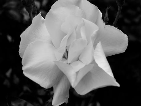 jour 31 - Extraction