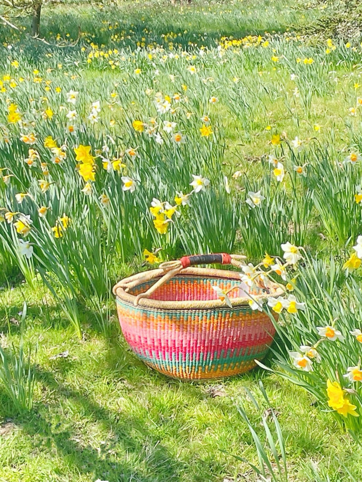 Extra Large Round Basket  in 'Bloom'