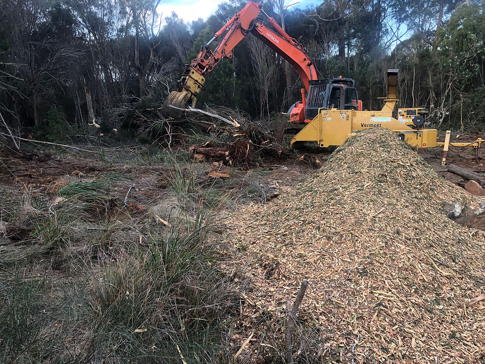 hitachi zx225 vermeer bc1800