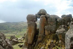 BOSQUE DE PIEDRAS SACHAPITE