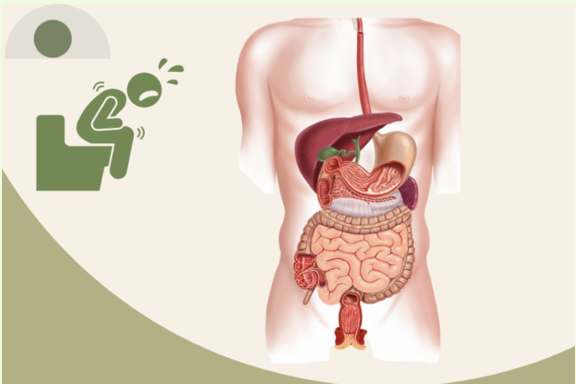 Screenshot 2025-08-08 at 14.46.19.png