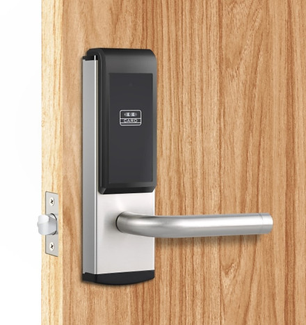 E956M_Silver Wood door