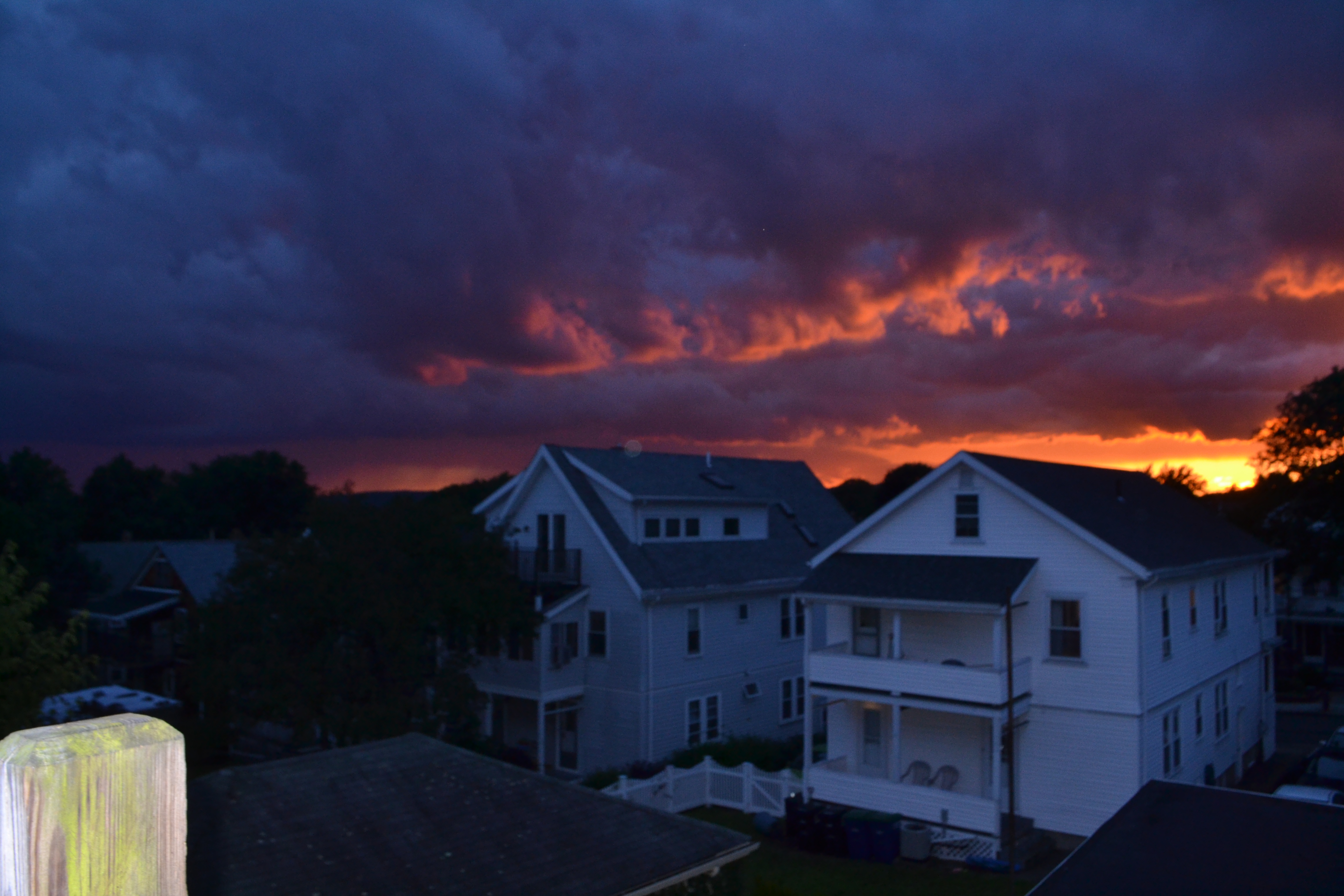 DSC_0354