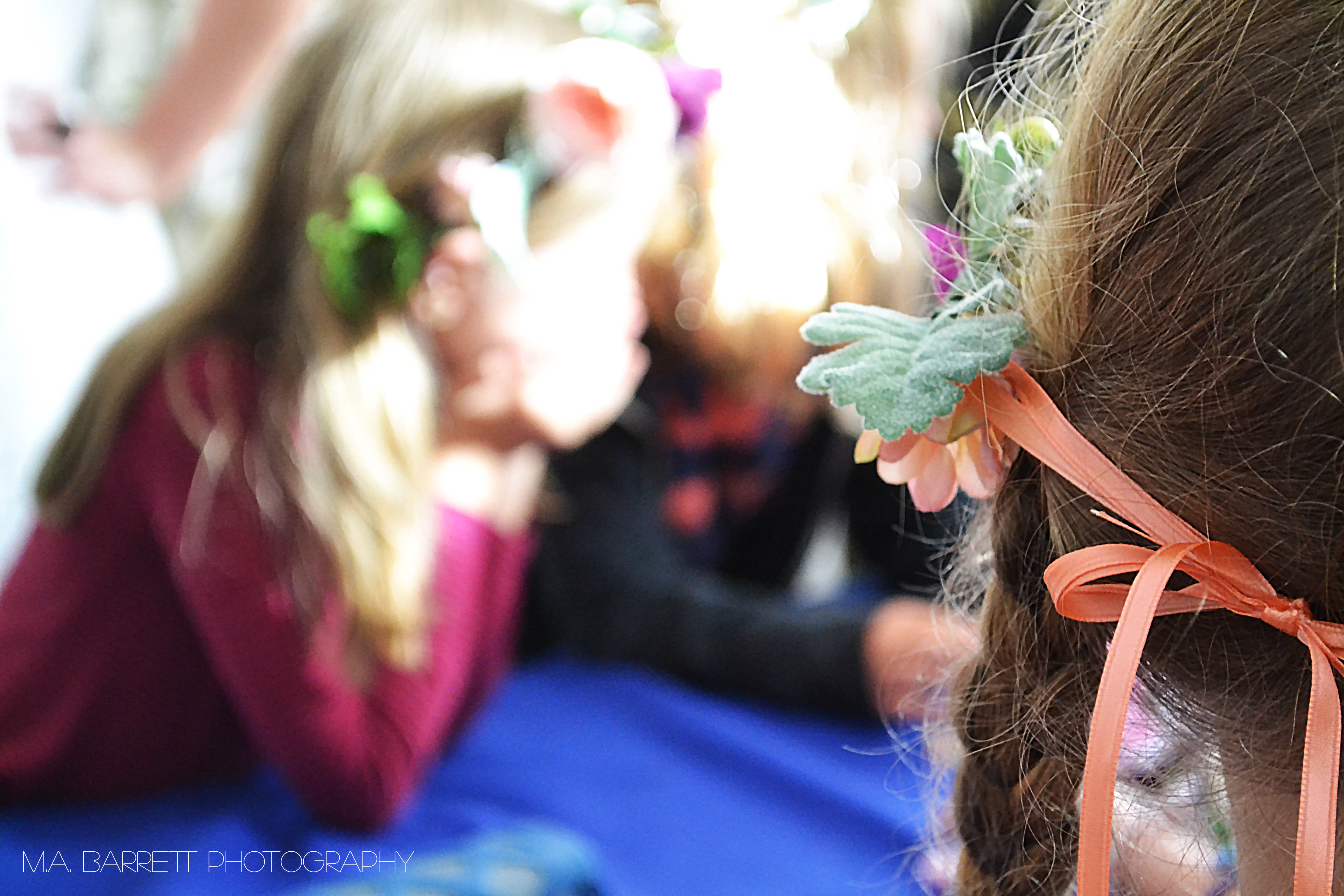 FLOWERCROWN2