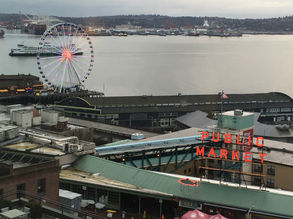 Embracing Seattle in February