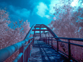 Vasona Park in Infrared