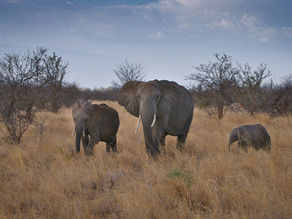 Memories of Tanzania