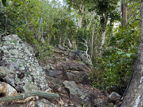 Hiking the Pyramid Trail