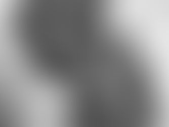 Feathers: Wet and Dry