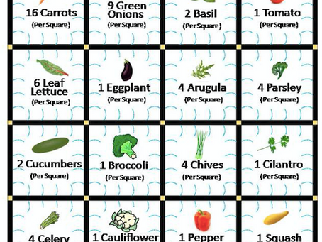 Getting Ready to Plant