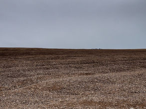 Beechey Island: Dying in a Desolated Land