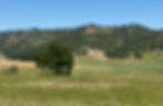 Chiles Valley