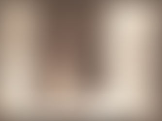 Emulating a Calotype