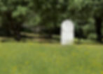William W. Parker, buried in the Pioneer Cemetery in Bothe-Napa Valley Park.