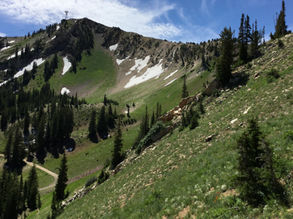 Hiking in Snowbird