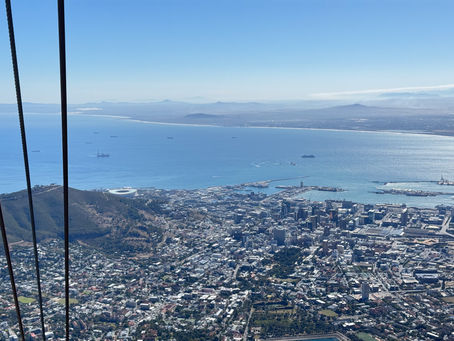 Where Oceans Meet and Penguins Parade: A Whirlwind Day Around Cape Town