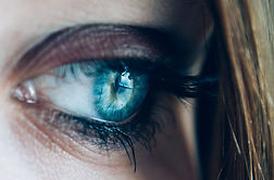 Ce que je vous propose