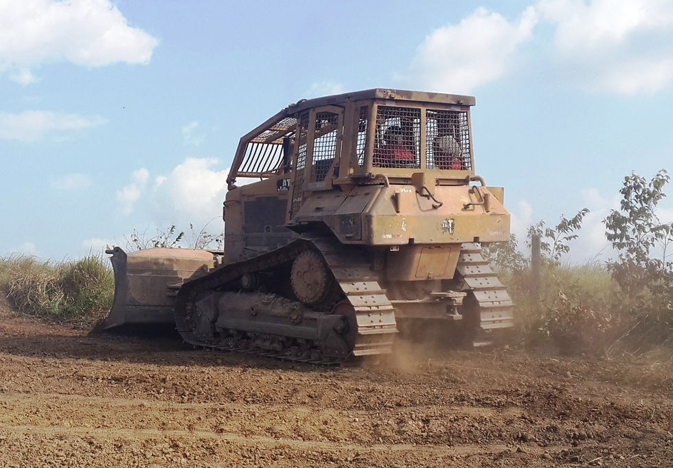 D6N florestal