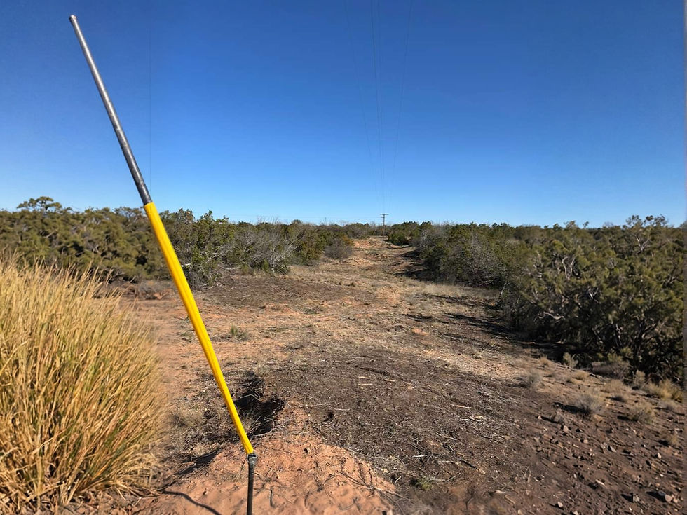 WhatsApp Image 2026-02-10 at 8.56_edited.jpg