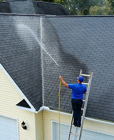 ROOF SOFT WASH.jpg