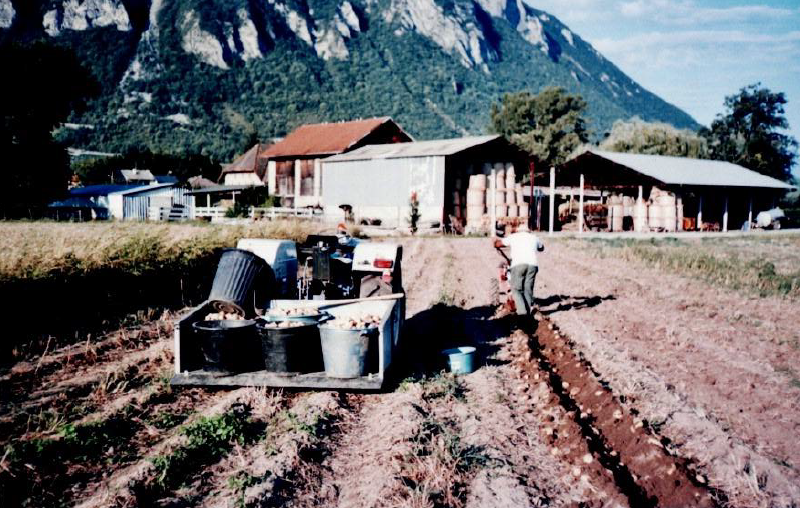 Tracteur et patate.png