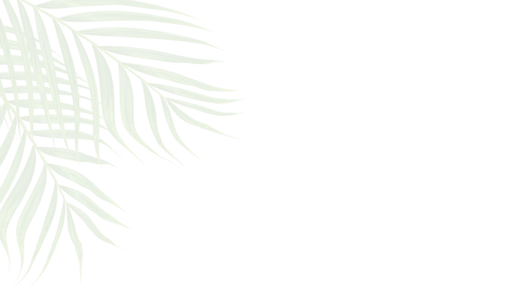 Untitled design (5).png