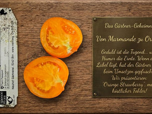 Tomatenüberraschungen: Mein Abenteuer mit der „Tomate Rouge de Marmande“