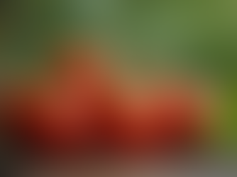 Tomaten Frostschutz Ideen: Tomaten sicher vor Kälteschäden schützen