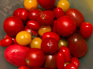 Warum meine schiefsten Tomaten die besten sind